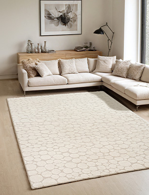 Living Room Rugs